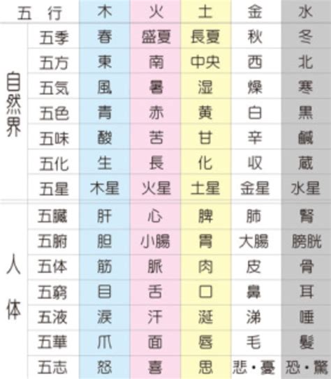 五行色体表 pdf|参考図：五行色体表